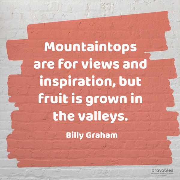 Mountaintops are for views and inspiration, but fruit is grown in the valleys. Billy Graham