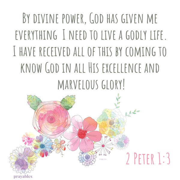 2 Peter 1:3 By divine power, God has given me everything I need to live a godly life. I have received all of this by coming to know God in all His excellence and marvelous glory!
