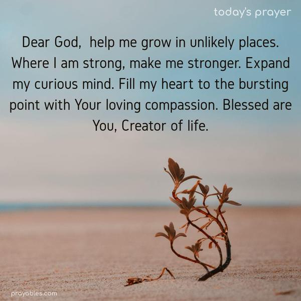 Dear God, help me grow in unlikely places. Where I am strong, make me stronger. Expand my curious mind. Fill my heart to the bursting point with Your loving compassion. Blessed are You, Creator of life.