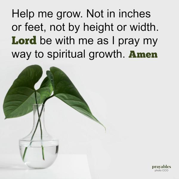 Help me grow. Not in inches or feet, not by height or width. Lord be with me as I pray my way to spiritual growth. Amen