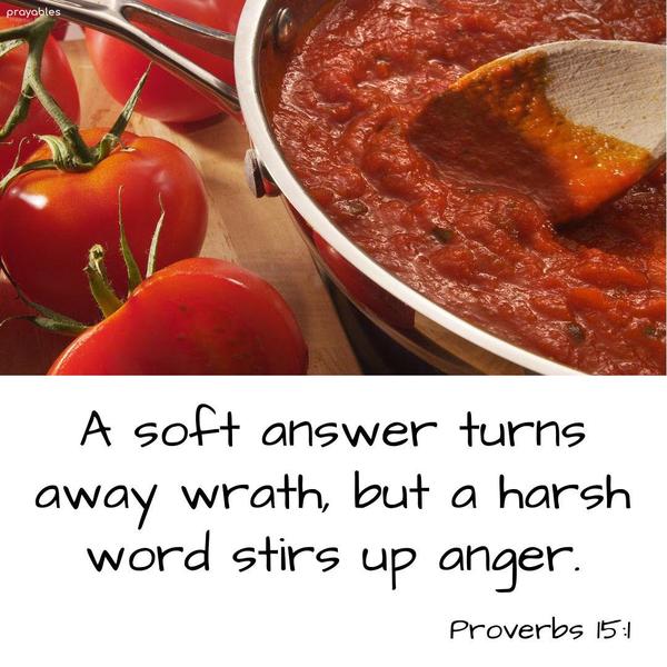 Proverbs 15:1 A soft answer turns away wrath, but a harsh word stirs up anger.