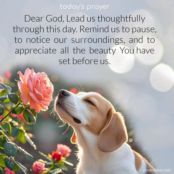 Dear God, lead us thoughtfully through this day. Remind us to pause, to notice our surroundings, and to appreciate all the beauty You have set before us.