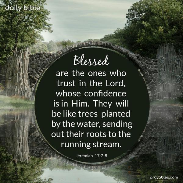 Blessed are the ones who trust in the Lord, whose confidence is in Him. They will be like trees planted by the water, sending out their roots to the running stream. Jeremiah 17:7-8