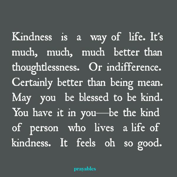 Kindness is a way of life. It’s much, much, much better than thoughtlessness. Or indifference. Certainly better than being mean. May you be blessed to be kind. You have it in you—be the kind of person who lives a life of kindness.
It feels oh so good.