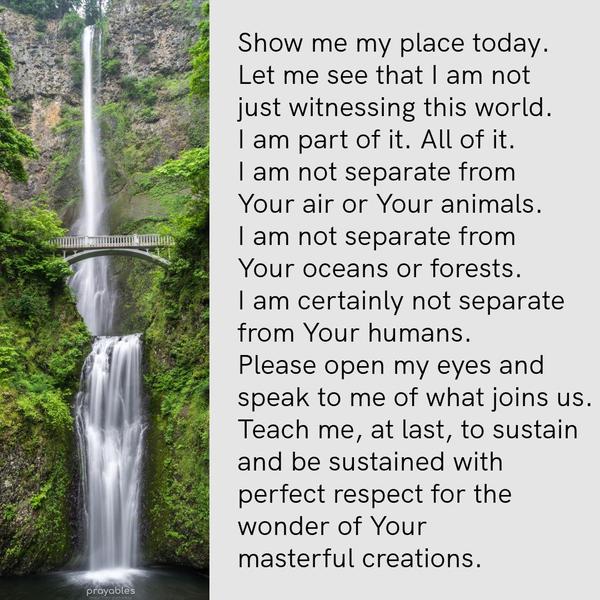 Show me my place today. Let me see that I am not just witnessing this world. I am part of it. All of it. I am not separate from Your air or Your animals. I am not separate from Your oceans
or forests. I am certainly not separate from Your humans. Please open my eyes and speak to me of what joins us. Teach me, at last, to sustain and be sustained with perfect respect for the wonder of Your masterful creations.