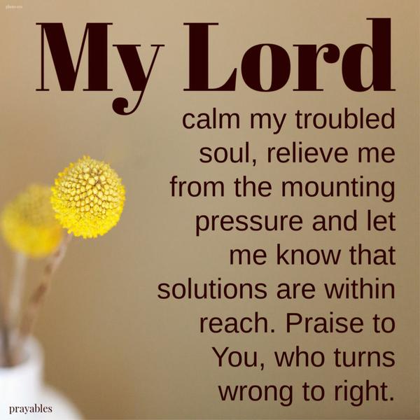 My Lord, calm my troubled soul, relieve me from the mounting pressure and let me know that solutions are within reach. Praise to You, who turns wrong to right.