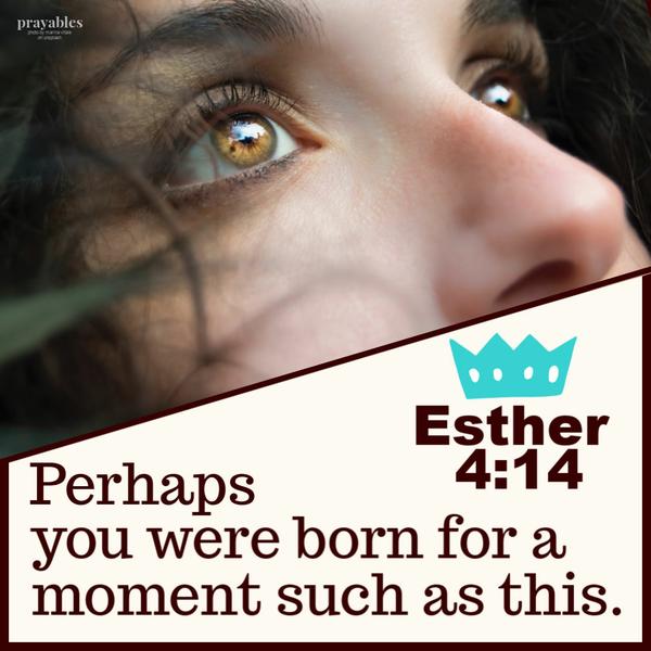 Esther 4:14 Perhaps you were born for a moment such as this.