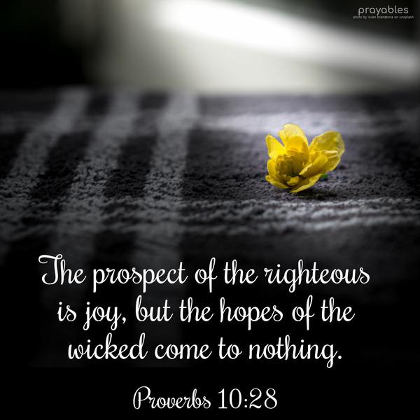 Proverbs 10:28 The prospect of the righteous is joy, but the hopes of the wicked come to nothing.