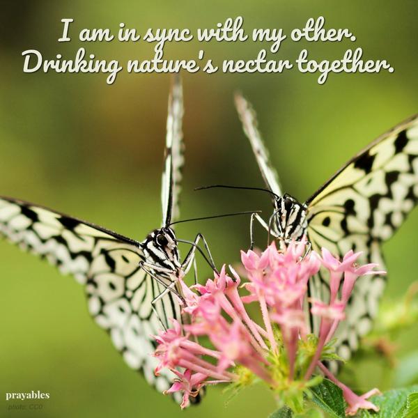 In sync with your other