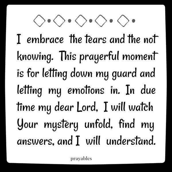  embrace the tears and the not knowing. This prayerful moment is for letting down my guard and letting my emotions in. In due time my dear Lord, I will watch Your mystery unfold, find my answers, and I will understand.