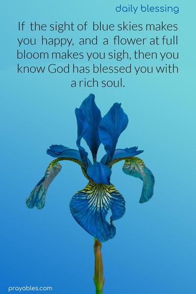 If the sight of blue skies makes you happy, and a flower at full bloom makes you sigh, then you know God has blessed you with a rich soul.