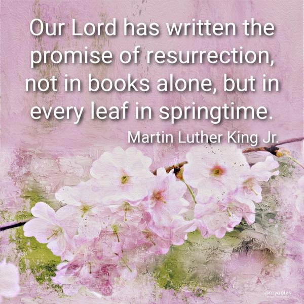 Our Lord has written the promise of resurrection, not in books alone, but in every leaf in springtime. Martin Luther King Jr.