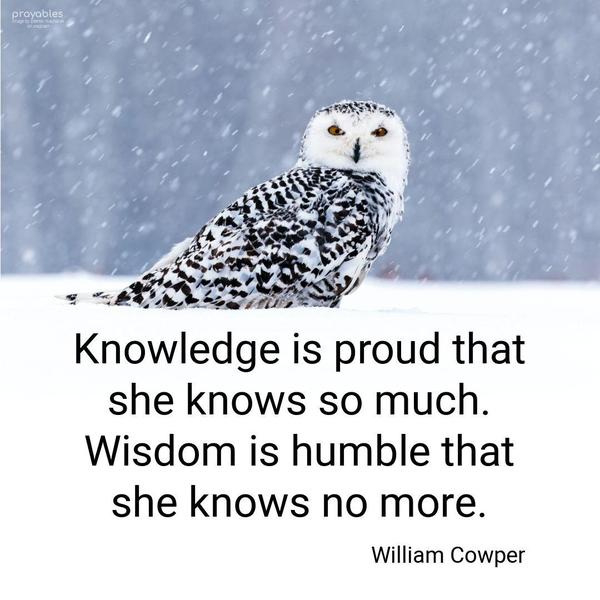 Knowledge is proud that she knows so much. Wisdom is humble that she knows no more. William Cowper