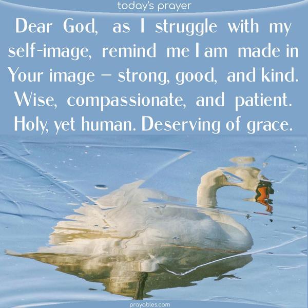 Dear God, as I struggle with my self-image, remind me I am made in Your image —strong, good,  and kind. Wise, compassionate, and patient. Holy, yet human. Deserving of grace.
