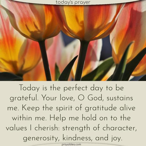 Today is the perfect day to be grateful. Your love, O God, sustains me. Keep the spirit of gratitude alive within me. Help me hold on to the values I cherish: strength of character, generosity, kindness, and joy.