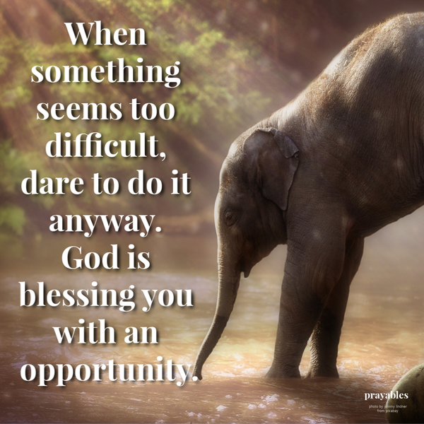 When something seems too difficult, dare to do it anyway. God is blessing you with an opportunity.