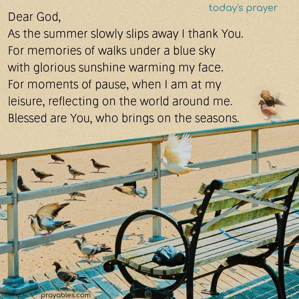 Dear God,  As the summer slowly slips away I thank You.  For memories of walks under a blue sky  with glorious sunshine warming my face.  For moments of pause, when I am at my  leisure, reflecting on the world around me.  Blessed are You, who brings on the seasons.
