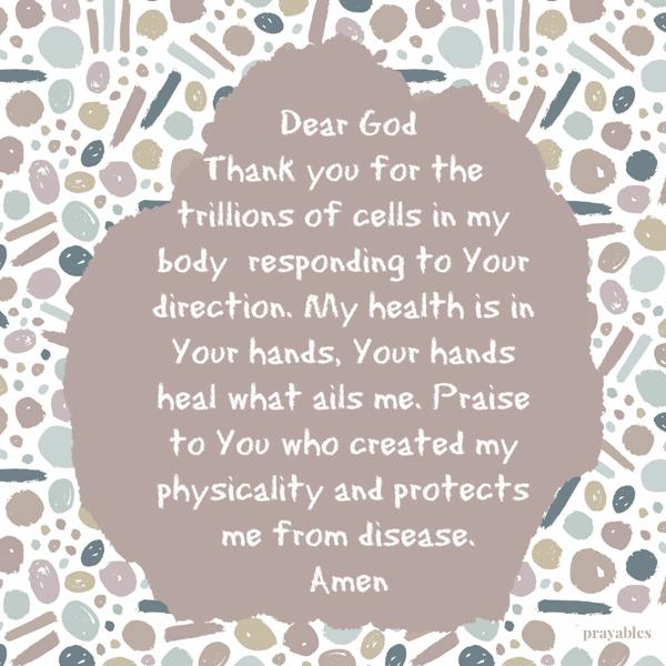 Dear God, Thank you for the trillions of cells in my body responding to Your direction. My health is in Your hands, Your hands heal what ails me. Praise to You who created my
physicality and protects me from disease.   Amen