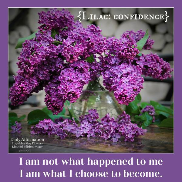 I am not what happened to me, I am what I choose to become.