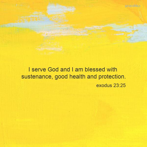 Exodus 23:25 I serve God and I am blessed with sustenance, good health and protection.