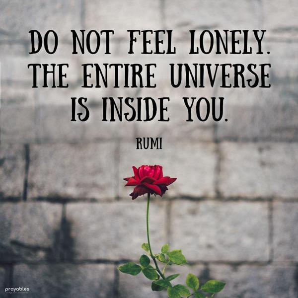 Do not feel lonely. The entire universe is inside you. Rumi