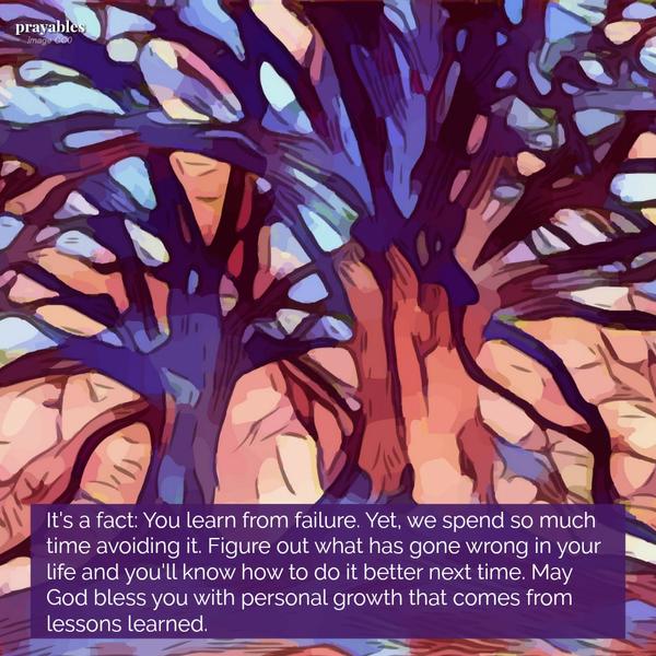 It’s a fact: You learn from failure. Yet, we spend so much time avoiding it. Figure out what has gone wrong in your life and you’ll know how to do it better next time. May God bless you with personal growth that comes from lessons
learned.