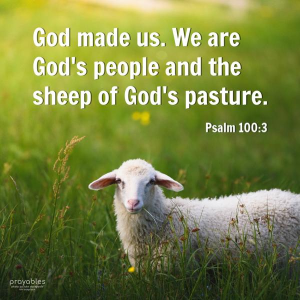 Psalm 100:3 God made us. We are God’s people and the sheep of God’s pasture.