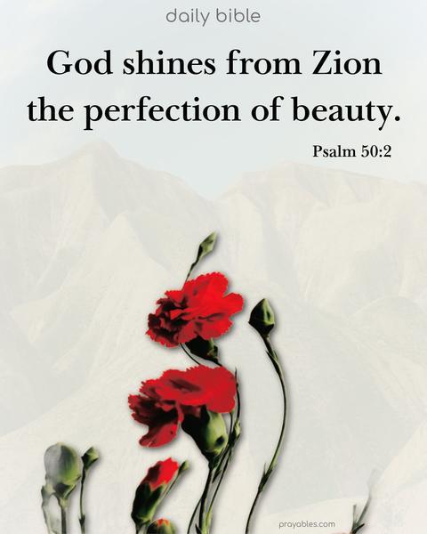 God shines from Zion the perfection of beauty. Psalm 50:2