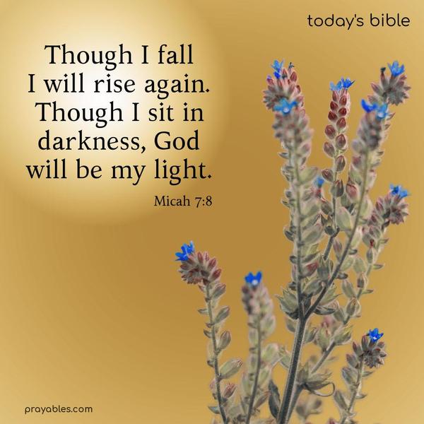 Though I fall, I will rise again. Though I sit in darkness, God will be my light. Micah 7:8