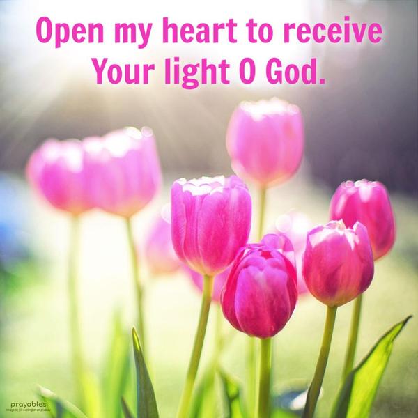 Receive the Light Open my heart to receive Your light O God.