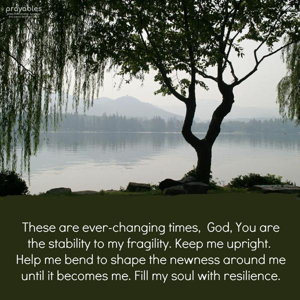 These are ever-changing times,  God, You are the stability to my fragility. Keep me upright. Help me bend to shape the newness around me until it becomes
me. Fill my soul with resilience.