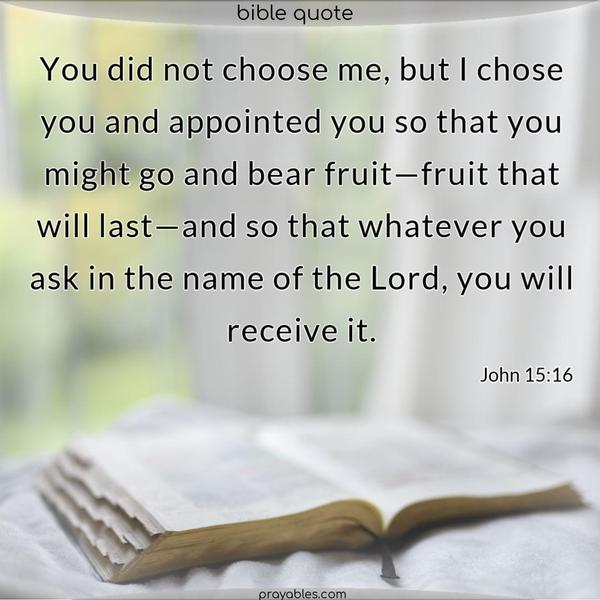 You did not choose me, but I chose you and appointed you so that you might go and bear fruit—fruit that will last—and so that whatever you ask in the name of the Lord, you will receive it. John 15:16 