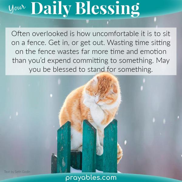 Often overlooked is how uncomfortable it is to sit on a fence. Get in, or get out. Wasting time sitting on the fence wastes far more time and emotion than you’d expend
committing to something. May you be blessed to stand for something. Seth Godin