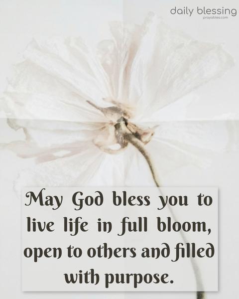 May  God  bless  you  to live  life  in  full  bloom, open to others and filled with purpose.  