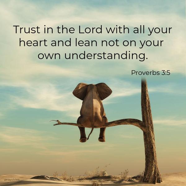 Proverbs 3:5 Trust in the Lord with all your heart and lean not on your own understanding.