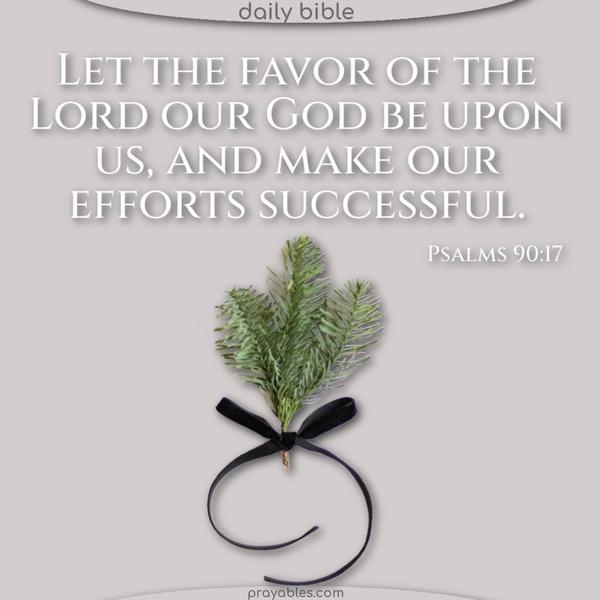 Let the favor of the Lord our God be upon us, and make our efforts successful. Psalms 90:17 
