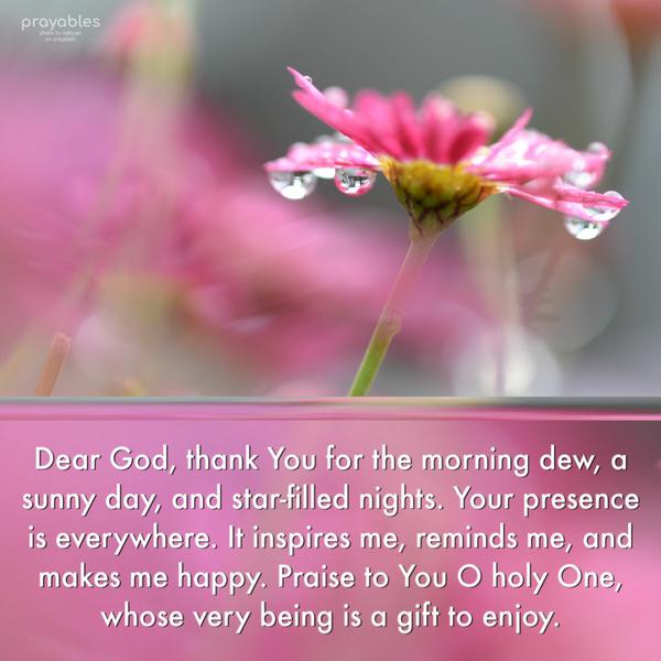 Dear God, thank You for the morning dew, a sunny day, and star-filled nights. Your presence is everywhere. It inspires me, reminds me, and
makes me happy. Praise to You O holy One, whose very being is a gift to enjoy. 