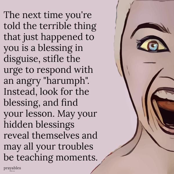 The next time you’re told the terrible thing that just happened to you is a blessing in disguise, stifle the urge to respond with an angry “harumph”. Instead, look for the
blessing and find your lesson. May your hidden blessings reveal themselves and may all your troubles be teaching moments.