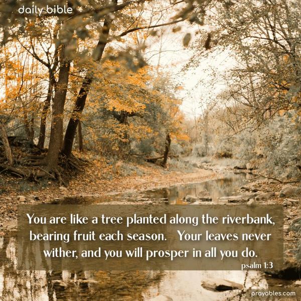 You are like a tree planted along the riverbank, bearing fruit each season. Your leaves never wither, and you will prosper in all you do. Psalm 1:3