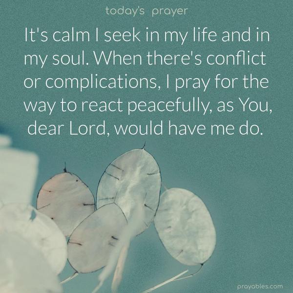 It's calm I seek in my life and in my soul. When there's conflict or complications, I pray for the way to react peacefully, as You, dear Lord, would have me do.