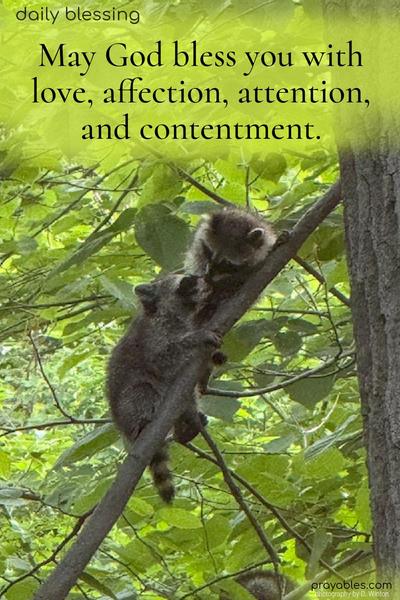 May God bless you with love, affection, attention, and contentment.