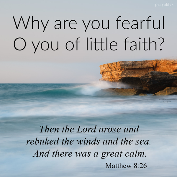 Matthew 8:26 Why are you fearful, O you of little faith? Then the Lord arose and rebuked the winds and the sea. And there was a great calm.