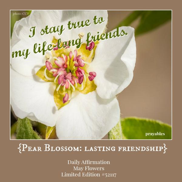 I welcome the stranger.