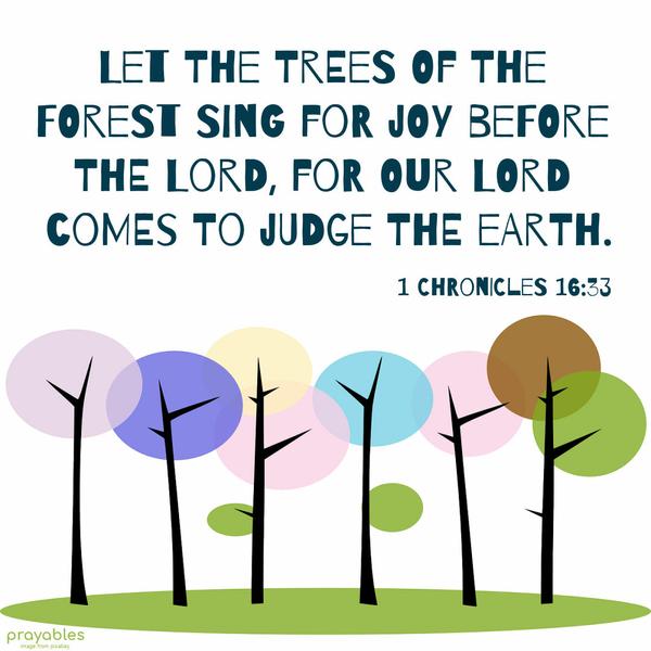 1 Chronicles 16:33 Let the trees of the forest sing for joy before the Lord, for God comes to judge the earth.