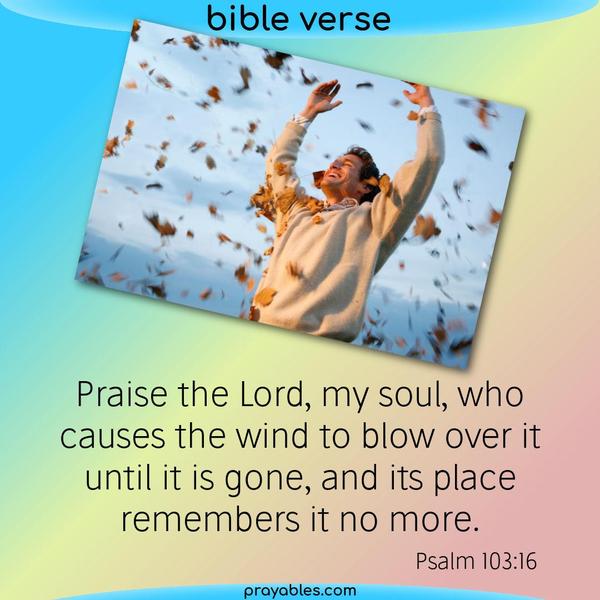 Psalm 103:16 Praise the Lord, my soul, who causes the wind to blow over it until it is gone, and its place remembers it no more.