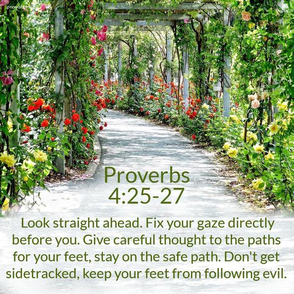 Proverbs 4:25-27 Look straight ahead, fix your gaze directly before you. Give careful thought to the paths for your feet, stay on the safe path. Don’t get sidetracked. Keep your feet from
following evil.