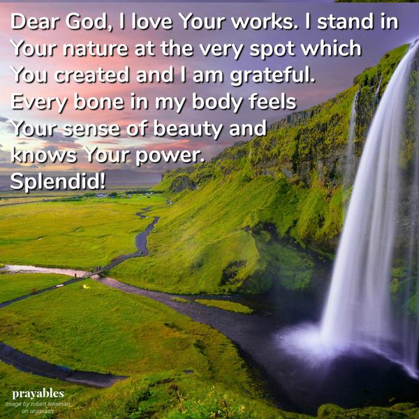 Dear God, I love Your works. I stand in Your nature at the very spot which You created and I am grateful. Every bone in my body feels Your sense of beauty and knows Your power. Splendid!