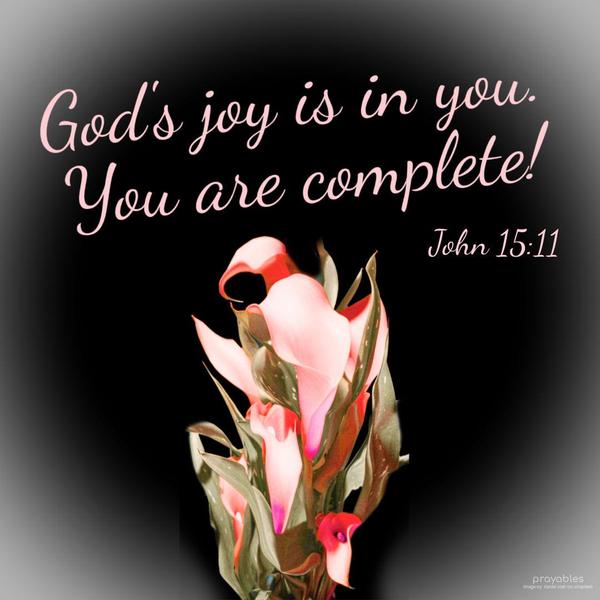 John 15:11 God's joy is in you. You are complete.