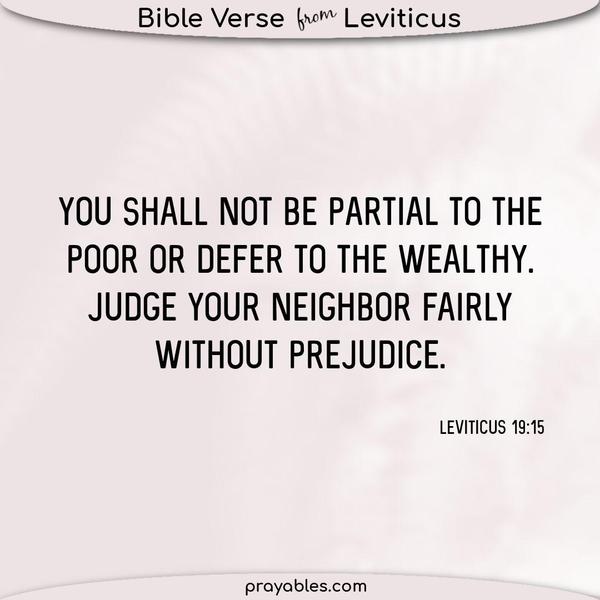 Leviticus 19:15 You shall not be partial to the poor or defer to the wealthy. Judge your neighbor fairly without prejudice.