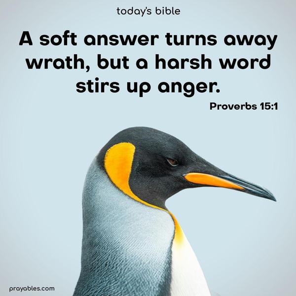Bible verse from Proverbs 15:1  ~ A soft answer turns away wrath, but a harsh word stirs up anger.